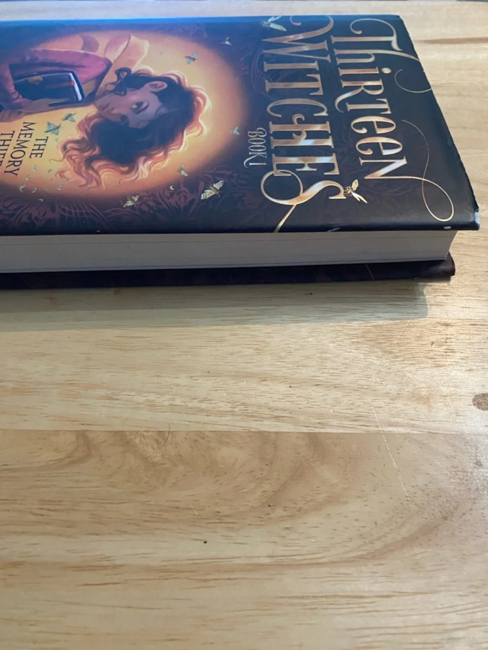 Thirteen Witches: The Memory Thief - Jodi Lynn Anderson Hardcover Book